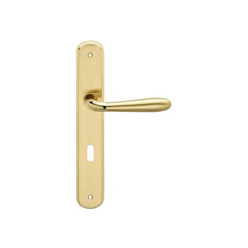 KVAKA SA ŠTITOM ZA VRATA- GOCCIA (A115) MESING SJAJ/ SET