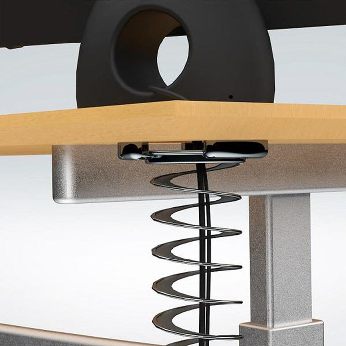 OG kičma baza MIAMI SI