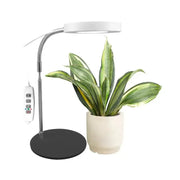 Jednostruka lampa za biljke 8W sa postoljem