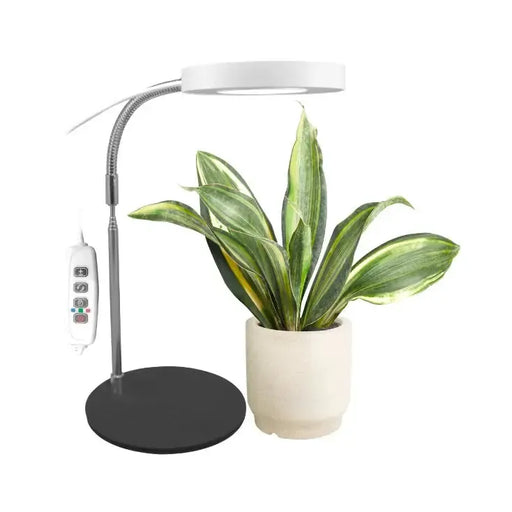 Jednostruka lampa za biljke 8W sa postoljem