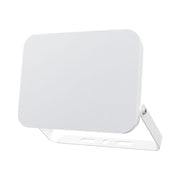 BRAYTRON CCT LED reflektor 100W