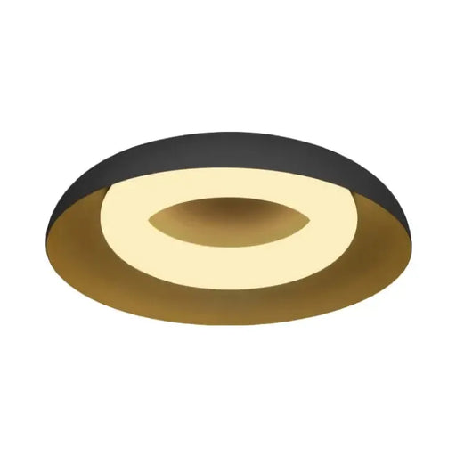 LED plafonjera 24W, promenljiva boja svetla 202508
