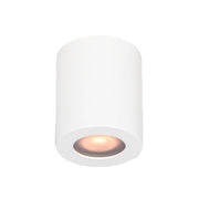 Plafonska lampa 1xGU10 bela IP65