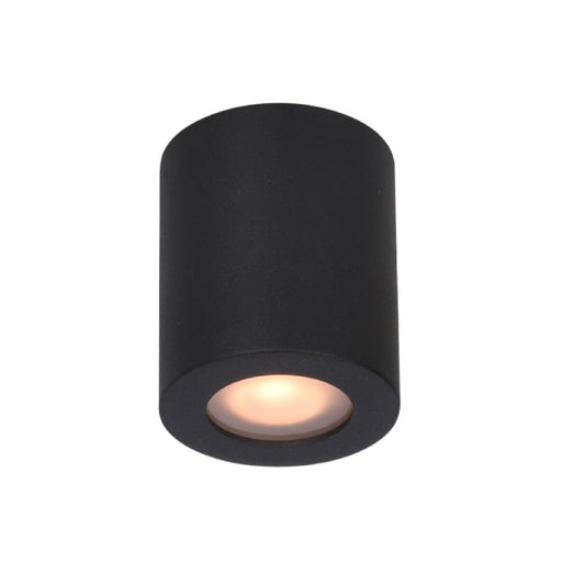 Plafonska lampa 1xGU10 crna IP65