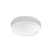LED plafonjera 12W, promenljiva boja svetla