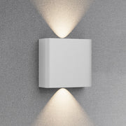 BRAYTRON zidna CCT LED lampa 2x1W