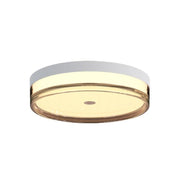 LED plafonjera 18W promenljiva boja svetla