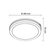 LED plafonjera 24W, promenljiva boja svetla