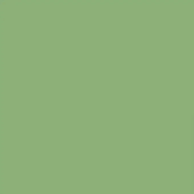 EMAJL DIREKT 3u1- Menta zelena (RAL 6021)