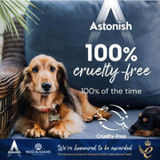 ASTONISH Osveživač tepiha miris cveća 350 g