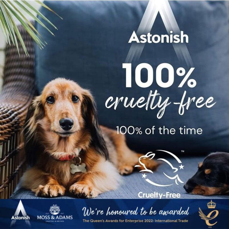 ASTONISH Osveživač tepiha miris cveća 350 g