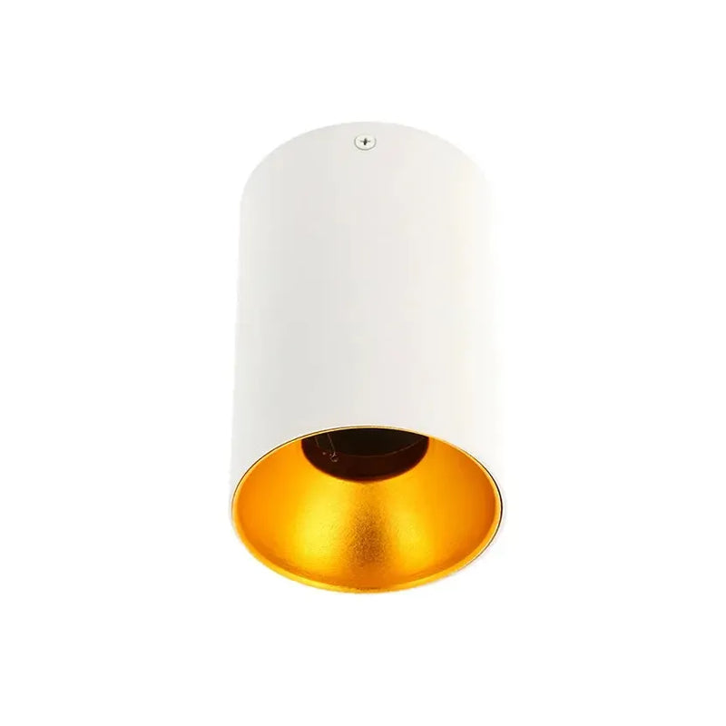 GTV LED Plafonjera TENSA, okrugla, GU10 — bela, IP20