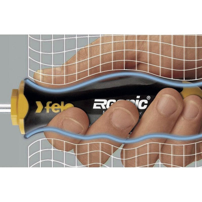 Šrafciger Felo Ergonic Phillips PH1 x 80 40210210