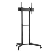 Podni TV nosač 32" do 70"