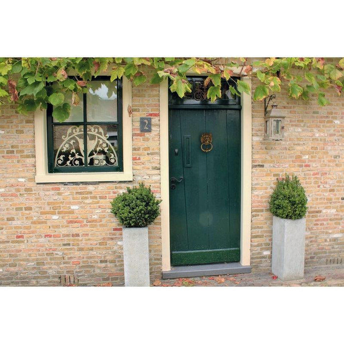 SCH Zvekir za vrata u obliku lavlje glave