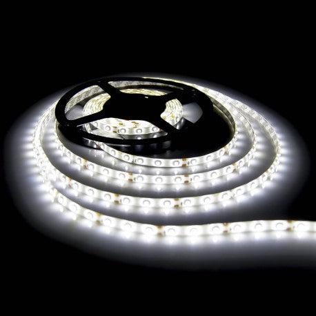 FN LED TRAKA SET 5m